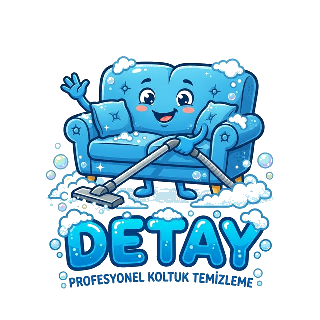 Detay Koltuk Yıkama Logo